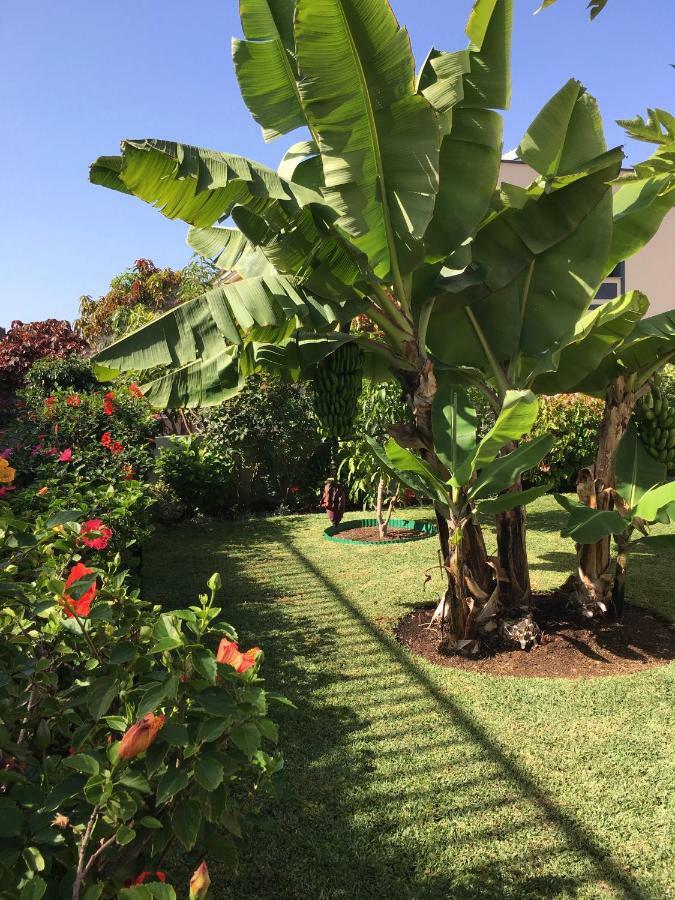 La Quinta Garden Βίλα Santa Úrsula Εξωτερικό φωτογραφία